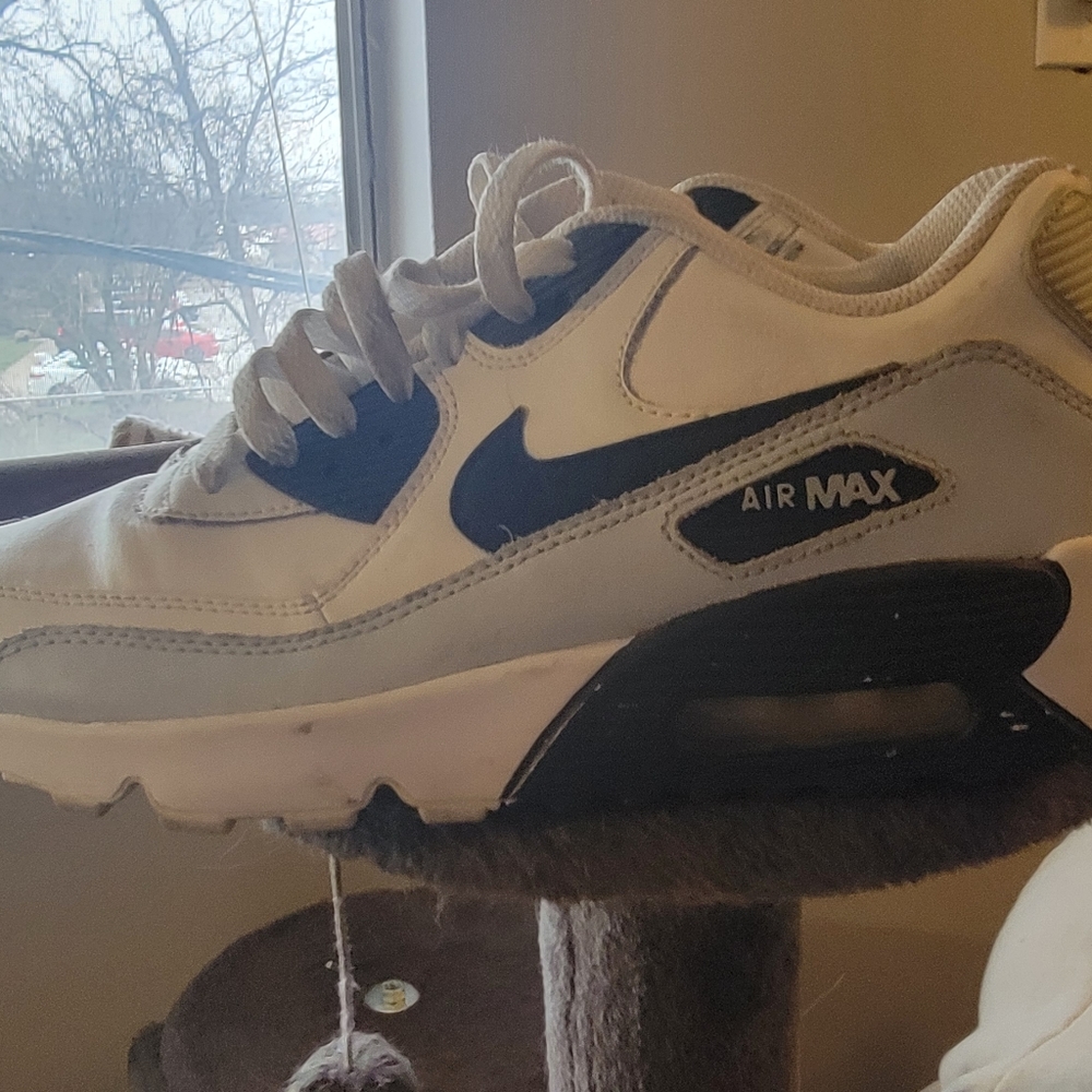 Nike Air Max Size 5.5